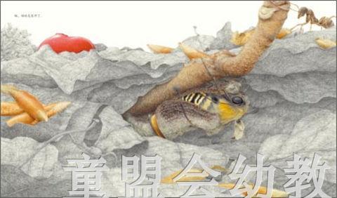 海豚 虎凤蝶 长江少年儿童出版社 商品图4