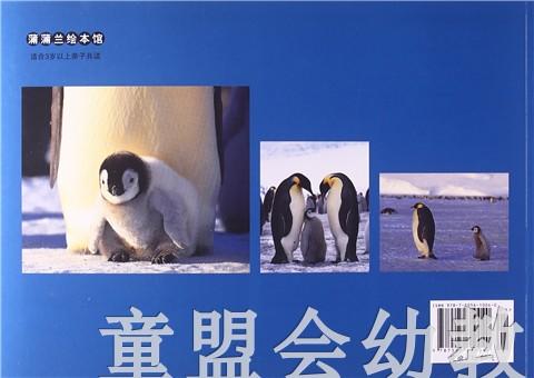 蒲蒲兰 帝企鹅的一家 内山晟 3-4-5-6岁儿童读物 正版 商品图1