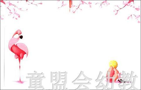 海豚 弗洛拉和火烈鸟 长江少年儿童出版社 商品图3