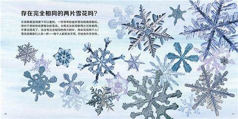 蒲蒲兰 雪花的故事 马克·卡西诺 3-4-5-6岁儿童绘本 正版 商品图3