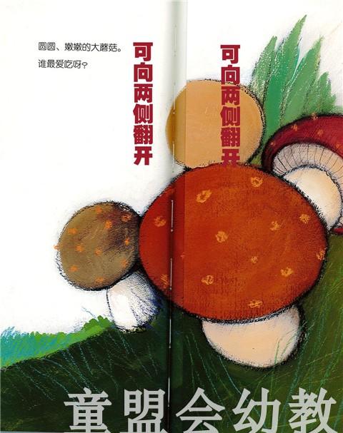 蒲蒲兰 翻翻猜猜绘本  薛蓝·约纳科维奇 3-4-5-6岁儿童读物 正版 商品图4