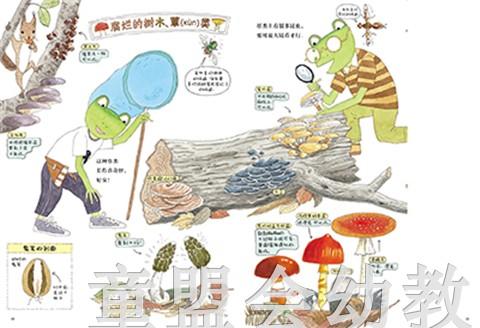 蒲蒲兰 和雨蛙爸爸一起去采集昆虫初体验 松冈达英 3-4-5-6 正版 商品图3