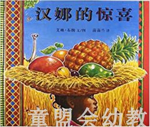 蒲蒲兰 汉娜的惊喜 艾琳·布朗 3-4-5-6岁儿童读物 正版 商品图0