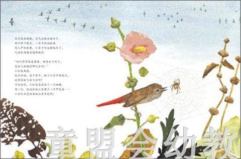 海豚 冬天的红尾鸟 湖北少年儿童出版社 商品图3