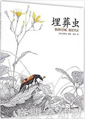 海豚 埋葬虫  长江少年儿童出版社