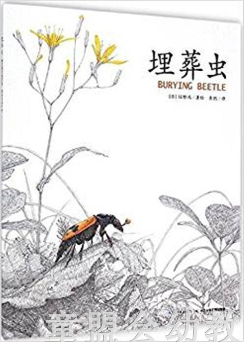 海豚 埋葬虫  长江少年儿童出版社 商品图0