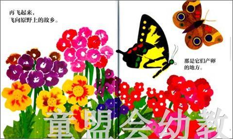 海豚 花园准备好了吗？ 湖北美术出版社 商品图3