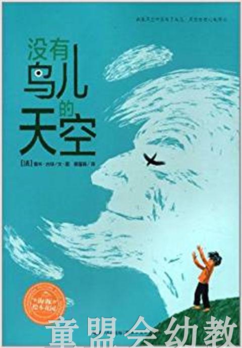 海豚 没有鸟儿的天空 湖北美术出版社 商品图0