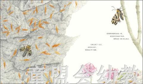 海豚 虎凤蝶 长江少年儿童出版社 商品图3