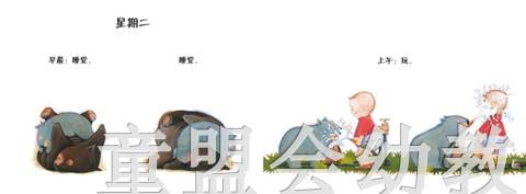 蒲蒲兰 袋熊宝宝的一周 杰西·弗兰 3-4-5-6岁儿童读物 正版 商品图3