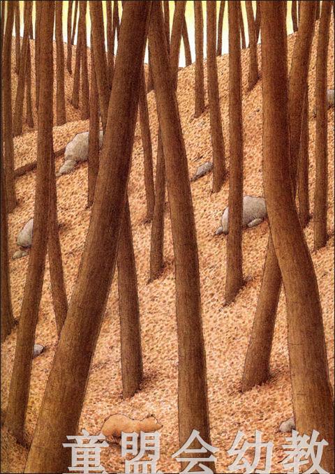 海豚 小棕熊的梦 湖北美术出版社 商品图4