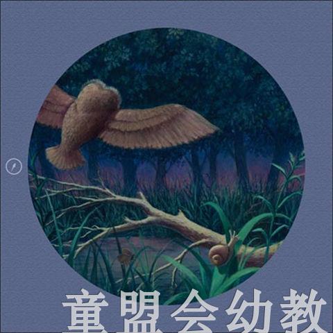 海豚 打开画册看自然 长江少年儿童出版社 商品图4