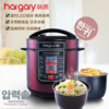 【家用电器】电压力锅 商品缩略图0