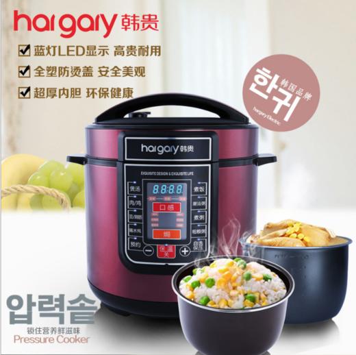 【家用电器】电压力锅 商品图0