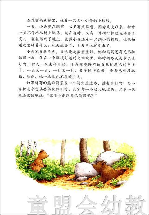 海豚 小棕熊的梦 湖北美术出版社 商品图2