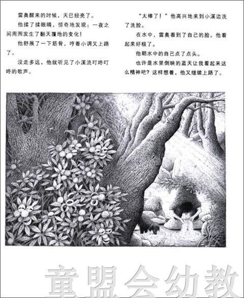 海豚 魔法森林的夜晚 湖北美术出版社 商品图4