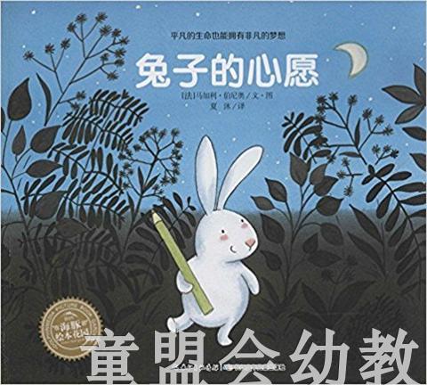 海豚 兔子的心愿（精）湖北少年儿童出版社 商品图0