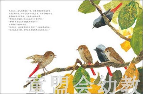 海豚 冬天的红尾鸟 湖北少年儿童出版社 商品图2