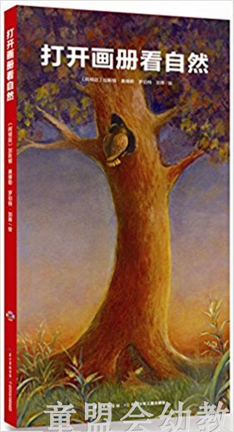 海豚 打开画册看自然 长江少年儿童出版社 商品图0
