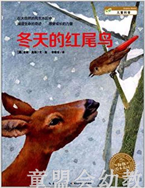 海豚 冬天的红尾鸟 湖北少年儿童出版社 商品图0