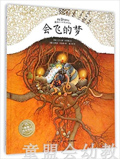 海豚 会飞的梦 长江少年儿童出版社 商品图0