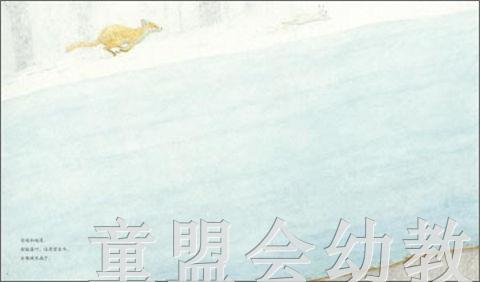 海豚 虎凤蝶 长江少年儿童出版社 商品图2