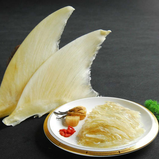 南港渔铺散装去骨鱼翅大500g