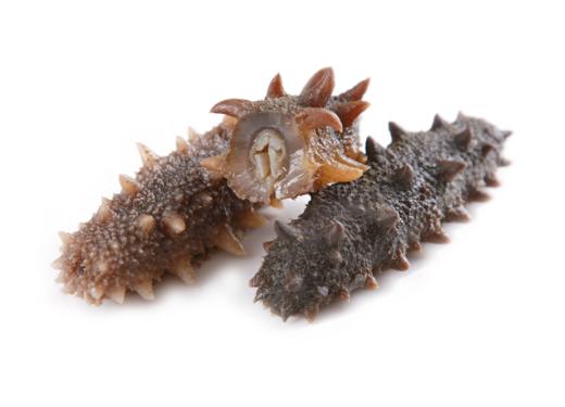 南港渔铺 散装辽参500g 商品图0