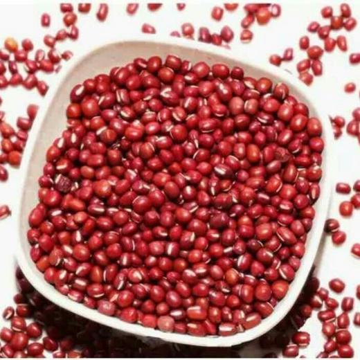 【红小豆】红小豆500g/份 商品图1