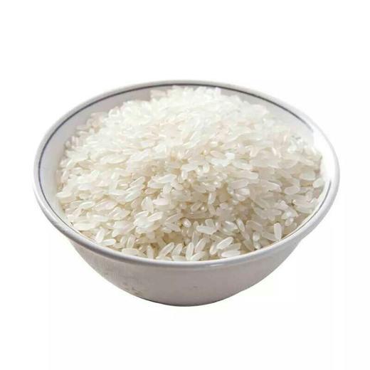 【大米】五常长粒香米约500g/份 商品图0