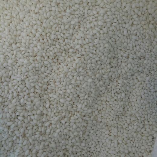 【糯米】圆江米 糯米约500g份 商品图3