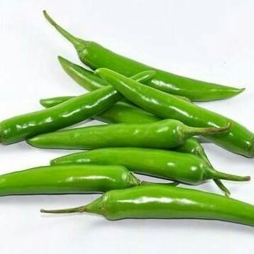 【新鲜】蔬菜杭椒500g/份 商品图1