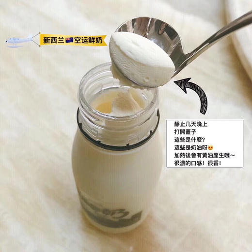 预售 | 新西兰Newlait非匀质有机牛奶（江浙沪皖包邮） 商品图2