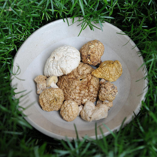 西行驿站达折渚高原野生干菌石渠白菌65g袋装