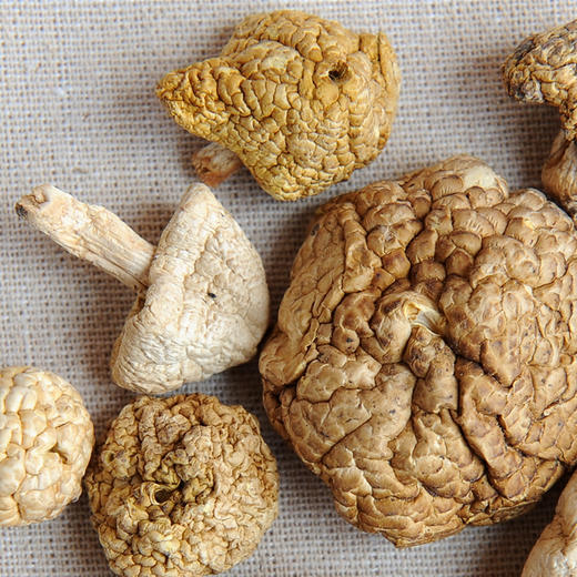 西行驿站达折渚高原野生干菌石渠白菌65g袋装