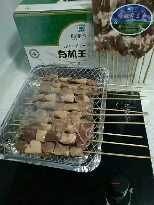 卡卡羊肉串 自由DIY （送烤盘2个+木炭+自然+辣子面料包） 商品图5