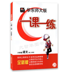 华东师大版 一课一练 语文 六年级第二学期/6年级下 华东师大出版