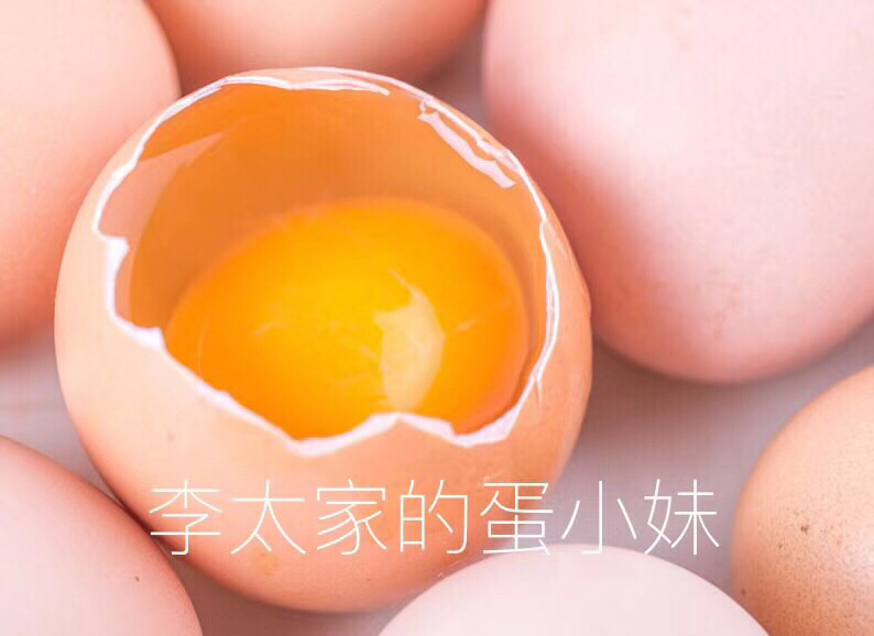 【推荐】九华山竹林跑鸡蛋50枚