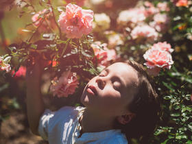 第27期：雪羲穿衣指数卡-春晓