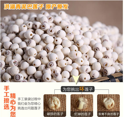 洪湖 莲子500g/袋 红/白莲子两种 商品图6