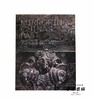 Mirroring China's Past: Emperors, Scholars, and Their Bronzes 吉金鉴古：皇室与文人的青铜器收藏 商品缩略图0