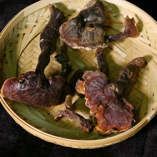 【经常断货】那曲灵芝 海拔3500米以上 350元100克 商品图1