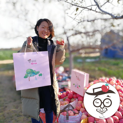 认养苹果树（人人都有苹果树，苹果代大地宠爱你～） 商品图11