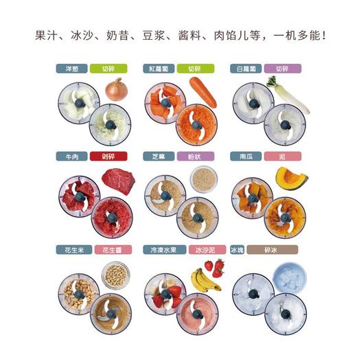 日本recolte日本家用小型厨房手压式食物料理处理机 中国电压 中国插头丨 附赠中文菜谱 商品图2