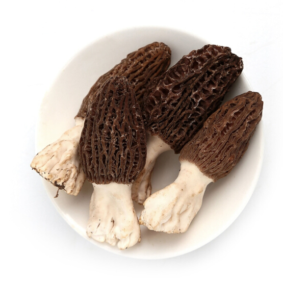 新鲜羊肚菌云南特产羊肚菌菇鲜货羊肝菌煲汤食材羊肚菇半野生菌菇