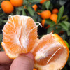 广西武鸣沃柑鲜水果柑橘 爆甜多汁 新鲜现摘5斤、8斤装 商品缩略图2