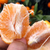 广西武鸣沃柑鲜水果柑橘 爆甜多汁 新鲜现摘5斤、8斤装 商品缩略图3