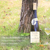 【阿尔萨斯前三顶尖名庄】云鹤庄园：代表世界芳香型白葡萄酒最顶尖水平，高颜值，四个品种 商品缩略图3