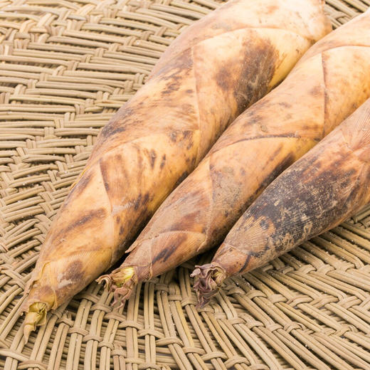 【下单后48小时发货】临安 天目山 春笋5斤装左右（15-25根左右） 商品图2