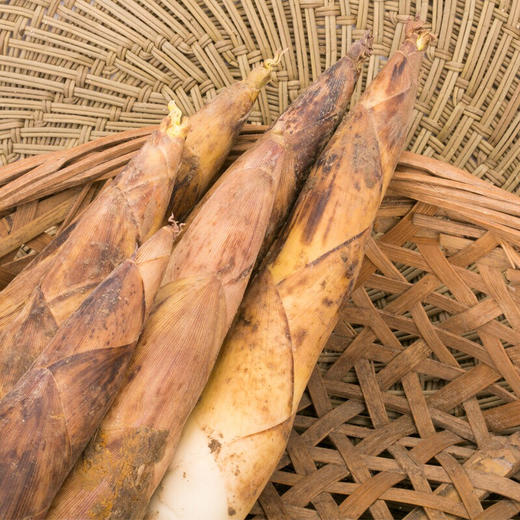 【下单后48小时发货】临安 天目山 春笋5斤装左右（15-25根左右） 商品图3